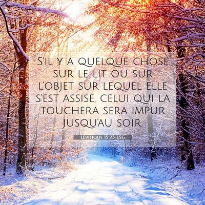 Picture 07 - Lévitique 15:23 LSG - S'il y a quelque chose sur le lit ou sur l'objet - Bible Verse Picture