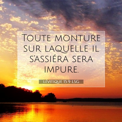 Picture 07 - Lévitique 15:9 LSG - Toute monture sur laquelle il s'assiéra sera - Bible Verse Picture