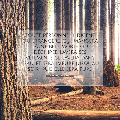 Picture 07 - Lévitique 17:15 LSG - Toute personne, indigène ou étrangère, qui - Bible Verse Picture