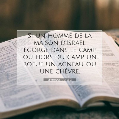 Picture 07 - Lévitique 17:3 LSG - Si un homme de la maison d'Israël égorge dans - Bible Verse Picture