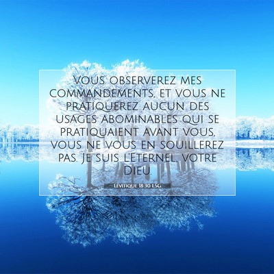 Picture 07 - Lévitique 18:30 LSG - Vous observerez mes commandements, et vous ne - Bible Verse Picture
