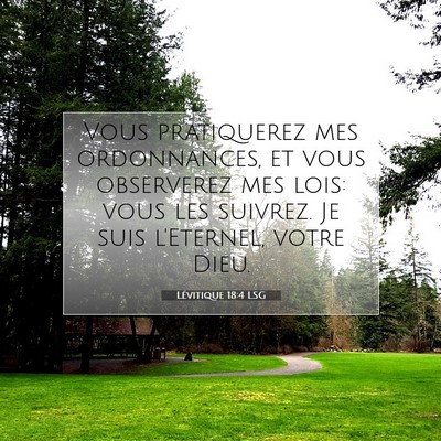 Picture 07 - Lévitique 18:4 LSG - Vous pratiquerez mes ordonnances, et vous - Bible Verse Picture
