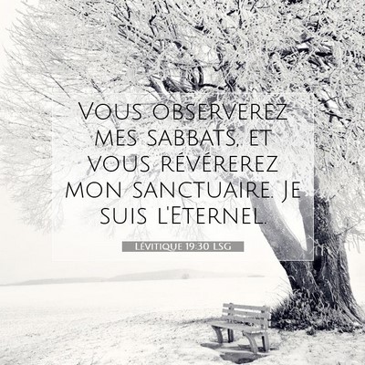 Picture 07 - Lévitique 19:30 LSG - Vous observerez mes sabbats, et vous révérerez - Bible Verse Picture