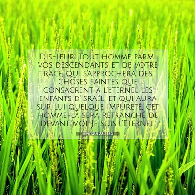 Picture 07 - Lévitique 22:3 LSG - Dis-leur: Tout homme parmi vos descendants et de - Bible Verse Picture