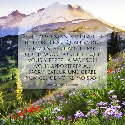 Picture 07 - Lévitique 23:10 LSG - Parle aux enfants d'Israël et tu leur diras: - Bible Verse Picture