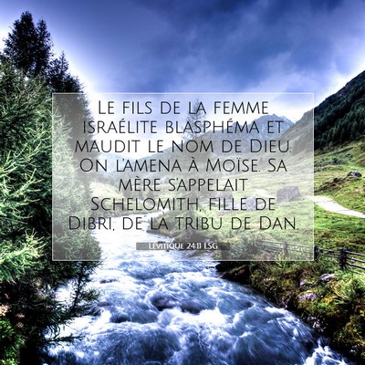 Picture 07 - Lévitique 24:11 LSG - Le fils de la femme israélite blasphéma et - Bible Verse Picture