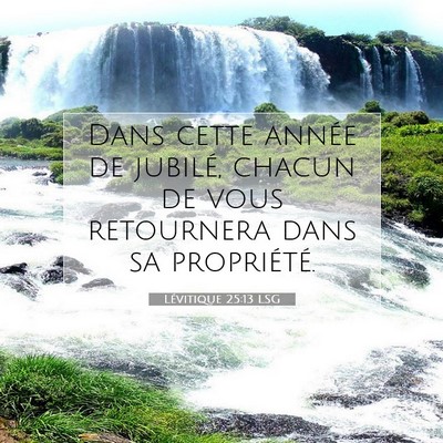 Picture 07 - Lévitique 25:13 LSG - Dans cette année de jubilé, chacun de vous - Bible Verse Picture