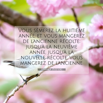 Picture 07 - Lévitique 25:22 LSG - Vous sèmerez la huitième année, et vous - Bible Verse Picture