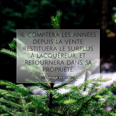 Picture 07 - Lévitique 25:27 LSG - il comptera les années depuis la vente, - Bible Verse Picture