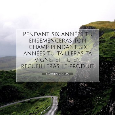 Picture 07 - Lévitique 25:3 LSG - Pendant six années tu ensemenceras ton champ, - Bible Verse Picture