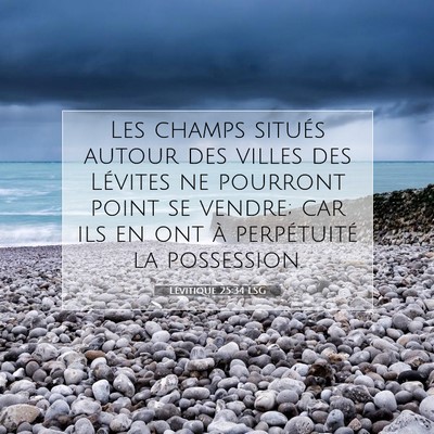 Picture 07 - Lévitique 25:34 LSG - Les champs situés autour des villes des Lévites - Bible Verse Picture