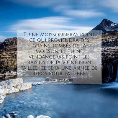 Picture 07 - Lévitique 25:5 LSG - Tu ne moissonneras point ce qui proviendra des - Bible Verse Picture