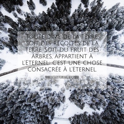 Picture 07 - Lévitique 27:30 LSG - Toute dîme de la terre, soit des récoltes de la - Bible Verse Picture