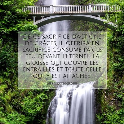 Picture 07 - Lévitique 3:3 LSG - De ce sacrifice d'actions de grâces, il offrira - Bible Verse Picture