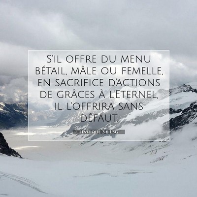 Picture 07 - Lévitique 3:6 LSG - S'il offre du menu bétail, mâle ou femelle, en - Bible Verse Picture