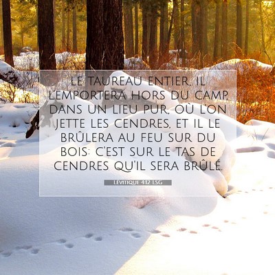 Picture 07 - Lévitique 4:12 LSG - le taureau entier, il l'emportera hors du camp, - Bible Verse Picture