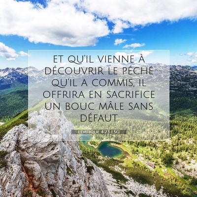 Picture 07 - Lévitique 4:23 LSG - et qu'il vienne à découvrir le péché qu'il a - Bible Verse Picture