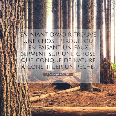 Picture 07 - Lévitique 6:3 LSG - en niant d'avoir trouvé une chose perdue, ou en - Bible Verse Picture