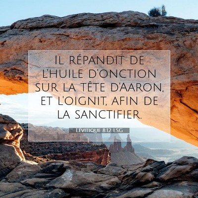 Picture 07 - Lévitique 8:12 LSG - Il répandit de l'huile d'onction sur la tête - Bible Verse Picture