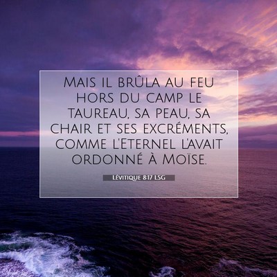 Picture 07 - Lévitique 8:17 LSG - Mais il brûla au feu hors du camp le taureau, sa - Bible Verse Picture