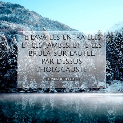 Picture 07 - Lévitique 9:14 LSG - Il lava les entrailles et les jambes, et il les - Bible Verse Picture