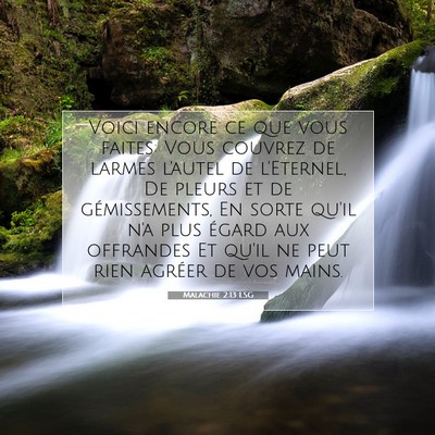 Picture 07 - Malachie 2:13 LSG - Voici encore ce que vous faites: Vous couvrez de - Bible Verse Picture