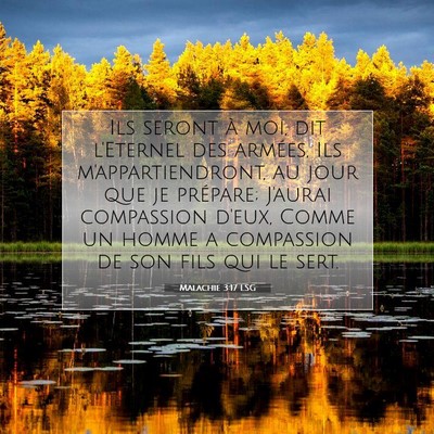 Picture 07 - Malachie 3:17 LSG - Ils seront à moi, dit l'Eternel des armées, Ils - Bible Verse Picture