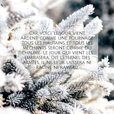 Picture 07 - Malachie 4:1 LSG - Car voici, le jour vient, Ardent comme une - Bible Verse Picture