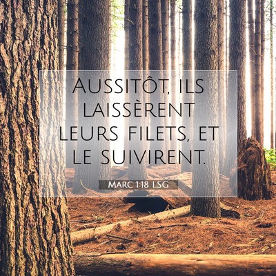 Picture 07 - Marc 1:18 LSG - Aussitôt, ils laissèrent leurs filets, et le - Bible Verse Picture