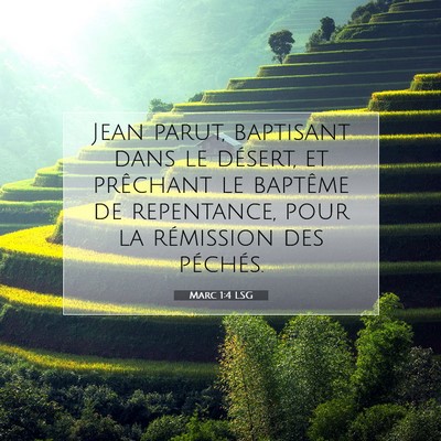 Picture 07 - Marc 1:4 LSG - Jean parut, baptisant dans le désert, et - Bible Verse Picture