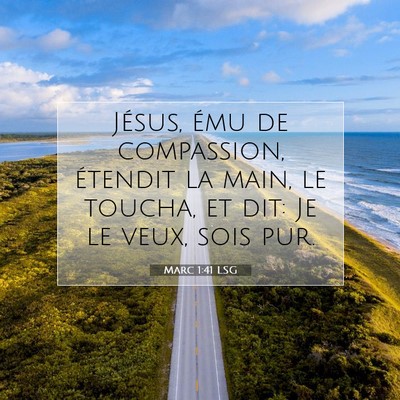 Picture 07 - Marc 1:41 LSG - Jésus, ému de compassion, étendit la main, le - Bible Verse Picture