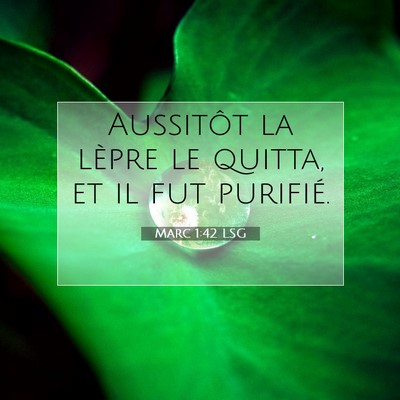 Picture 07 - Marc 1:42 LSG - Aussitôt la lèpre le quitta, et il fut - Bible Verse Picture