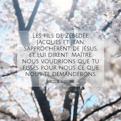 Picture 07 - Marc 10:35 LSG - Les fils de Zébédée, Jacques et Jean, - Bible Verse Picture