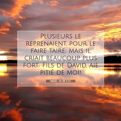 Picture 07 - Marc 10:48 LSG - Plusieurs le reprenaient, pour le faire taire; - Bible Verse Picture