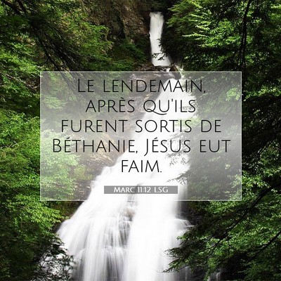Picture 07 - Marc 11:12 LSG - Le lendemain, après qu'ils furent sortis de - Bible Verse Picture
