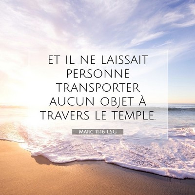 Picture 07 - Marc 11:16 LSG - et il ne laissait personne transporter aucun - Bible Verse Picture