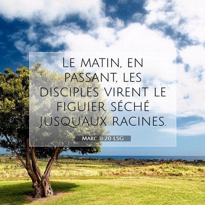 Picture 07 - Marc 11:20 LSG - Le matin, en passant, les disciples virent le - Bible Verse Picture
