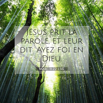 Picture 07 - Marc 11:22 LSG - Jésus prit la parole, et leur dit: Ayez foi en - Bible Verse Picture