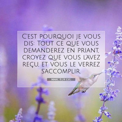 Picture 07 - Marc 11:24 LSG - C'est pourquoi je vous dis: Tout ce que vous - Bible Verse Picture