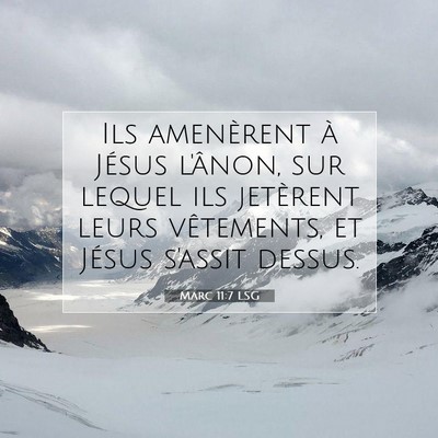 Picture 07 - Marc 11:7 LSG - Ils amenèrent à Jésus l'ânon, sur lequel ils - Bible Verse Picture
