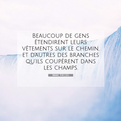 Picture 07 - Marc 11:8 LSG - Beaucoup de gens étendirent leurs vêtements sur - Bible Verse Picture