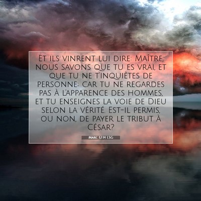 Picture 07 - Marc 12:14 LSG - Et ils vinrent lui dire: Maître, nous savons que - Bible Verse Picture