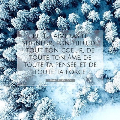 Picture 07 - Marc 12:30 LSG - et: Tu aimeras le Seigneur, ton Dieu, de tout ton - Bible Verse Picture