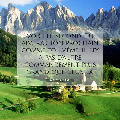 Picture 07 - Marc 12:31 LSG - Voici le second: Tu aimeras ton prochain comme - Bible Verse Picture