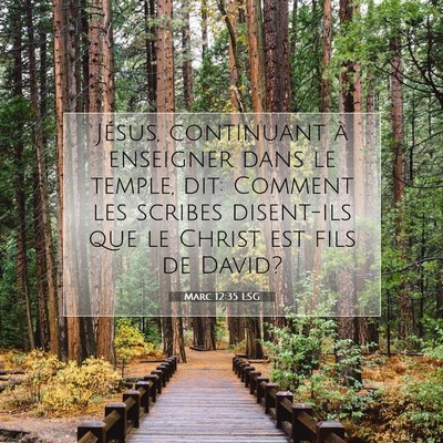 Picture 07 - Marc 12:35 LSG - Jésus, continuant à enseigner dans le temple, - Bible Verse Picture