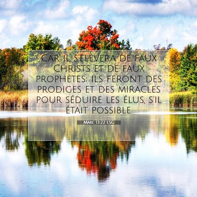 Picture 07 - Marc 13:22 LSG - Car il s'élèvera de faux Christs et de faux - Bible Verse Picture