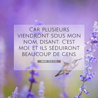 Picture 07 - Marc 13:6 LSG - Car plusieurs viendront sous mon nom, disant; - Bible Verse Picture
