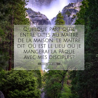 Picture 07 - Marc 14:14 LSG - Quelque part qu'il entre, dites au maître de la - Bible Verse Picture