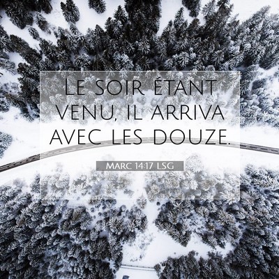 Picture 07 - Marc 14:17 LSG - Le soir étant venu, il arriva avec les - Bible Verse Picture