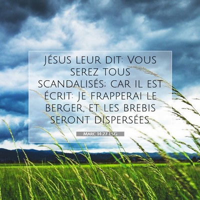 Picture 07 - Marc 14:27 LSG - Jésus leur dit: Vous serez tous scandalisés; - Bible Verse Picture